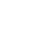 Wildcard Icon