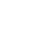 Noxus Icon