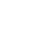Party Animal Icon